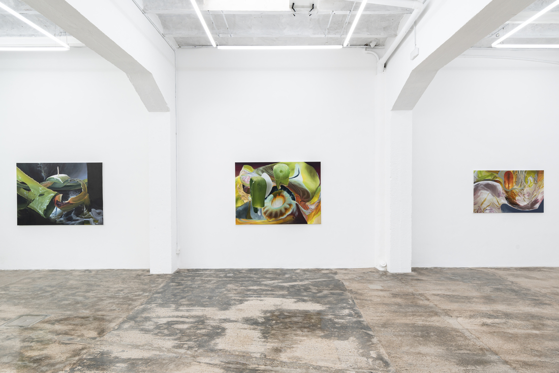 Janice McNab, Galaxy Ballroom, Galeria Fermay, Palma, Spain, September &ndash; November 2024