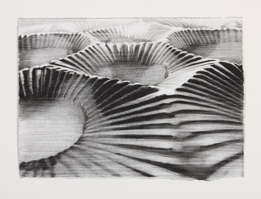 Janice McNab, The Chocolate Box Paintings &lsquo;Untitled drawing&rsquo; (2008), 31x43cm, Conté pencil on paper